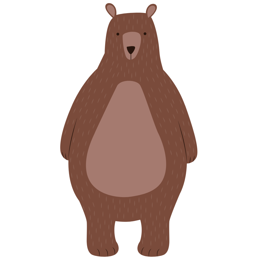 bear 1