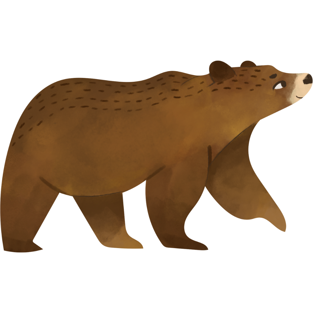 bear 2